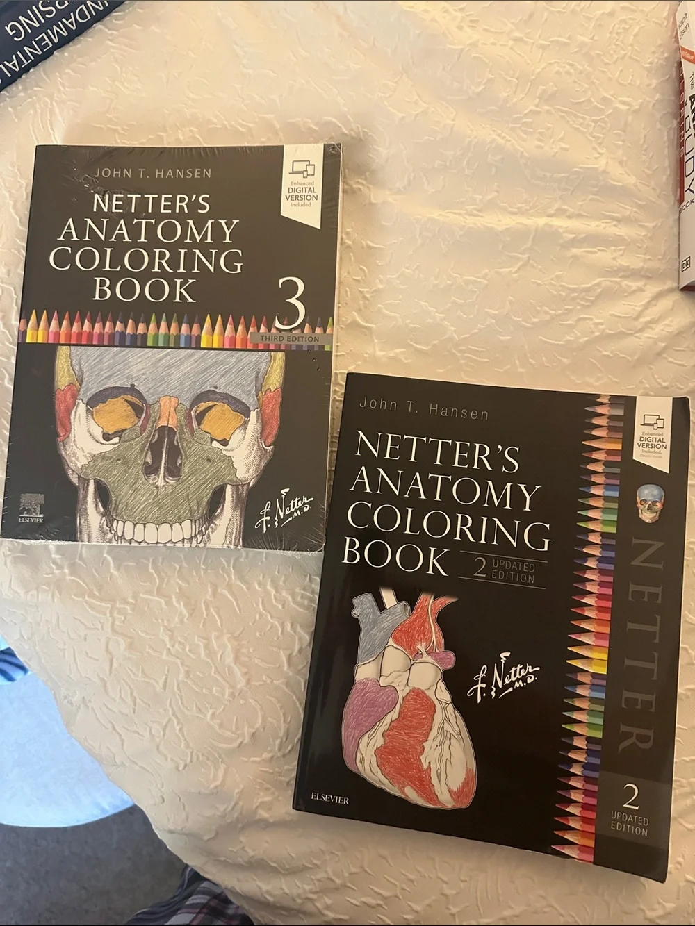 Netter's Anatomy Coloring Book - Black/Cream Cover -